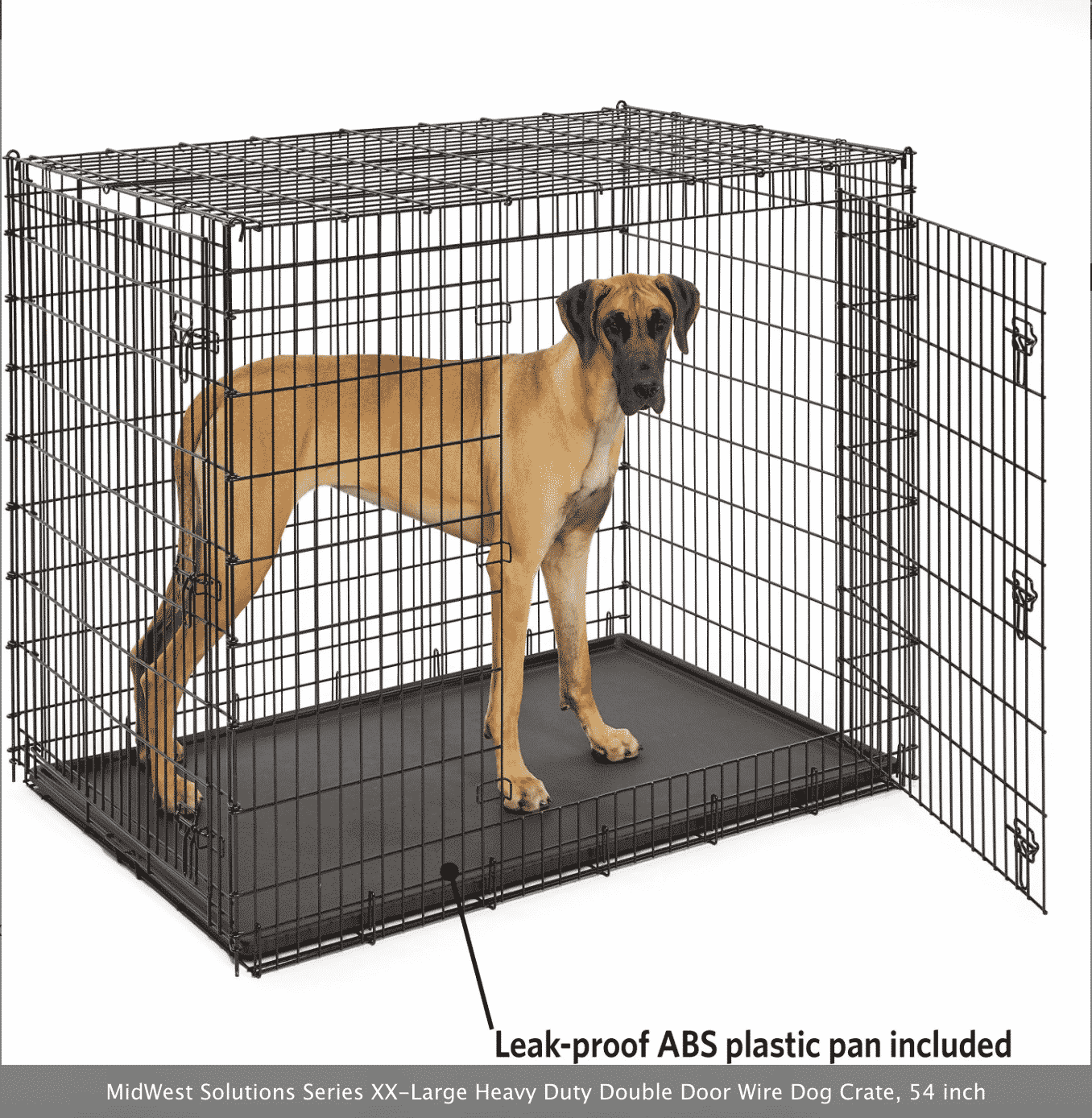 Jakiej wielkości klatki potrzebuje dog niemiecki? Zadbaj o komfort swojego psa