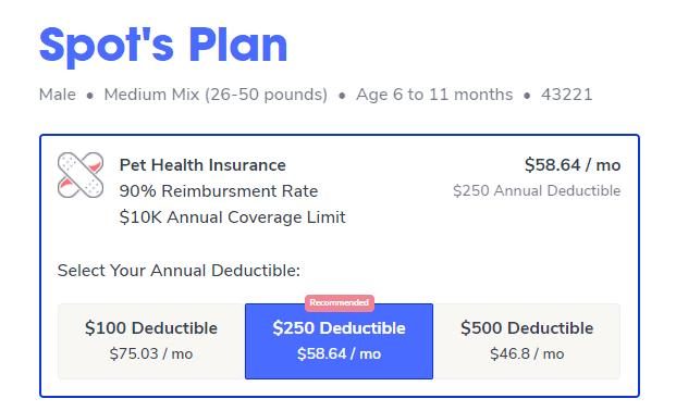 spot-updated-pumpkin-insurance-9531506-9799488