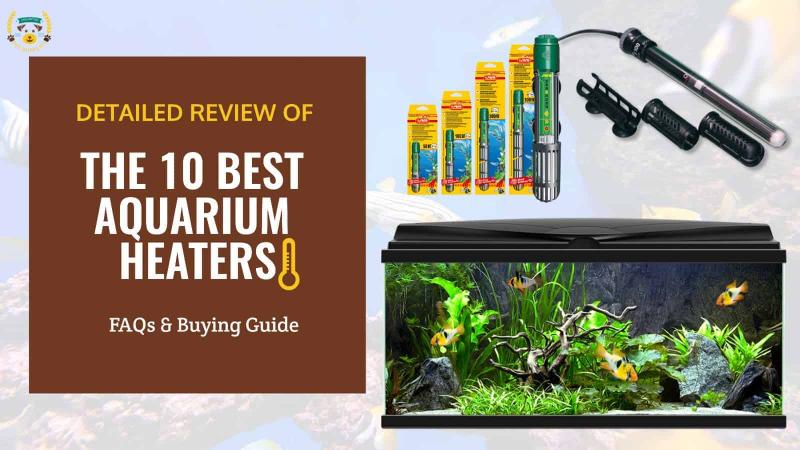 6. Orlushy Submersible Aquarium Heater