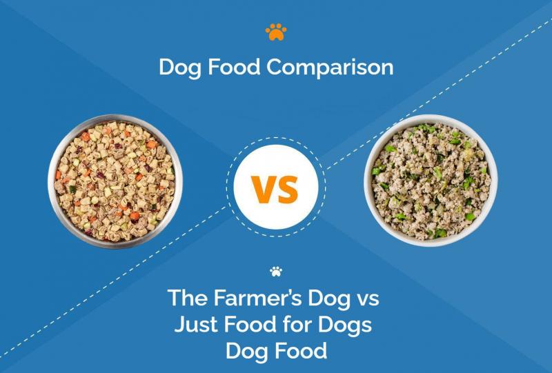 Dr. Marty Dog Food vs The Farmer's Dog (porównanie 2024): Plusy, minusy i co wybrać