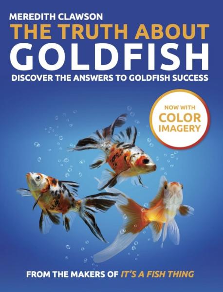 41 faktów o złotych rybkach, które cię zaskoczą