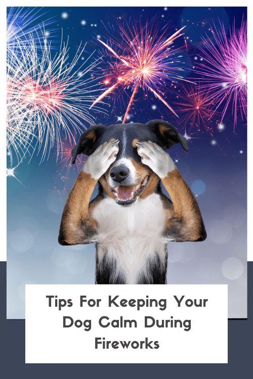 Jak uspokoić psa podczas fajerwerków: 13 skutecznych wskazówek