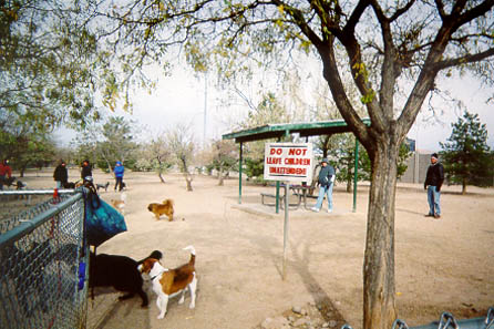 11. Tom Bolack Urban Forest Park