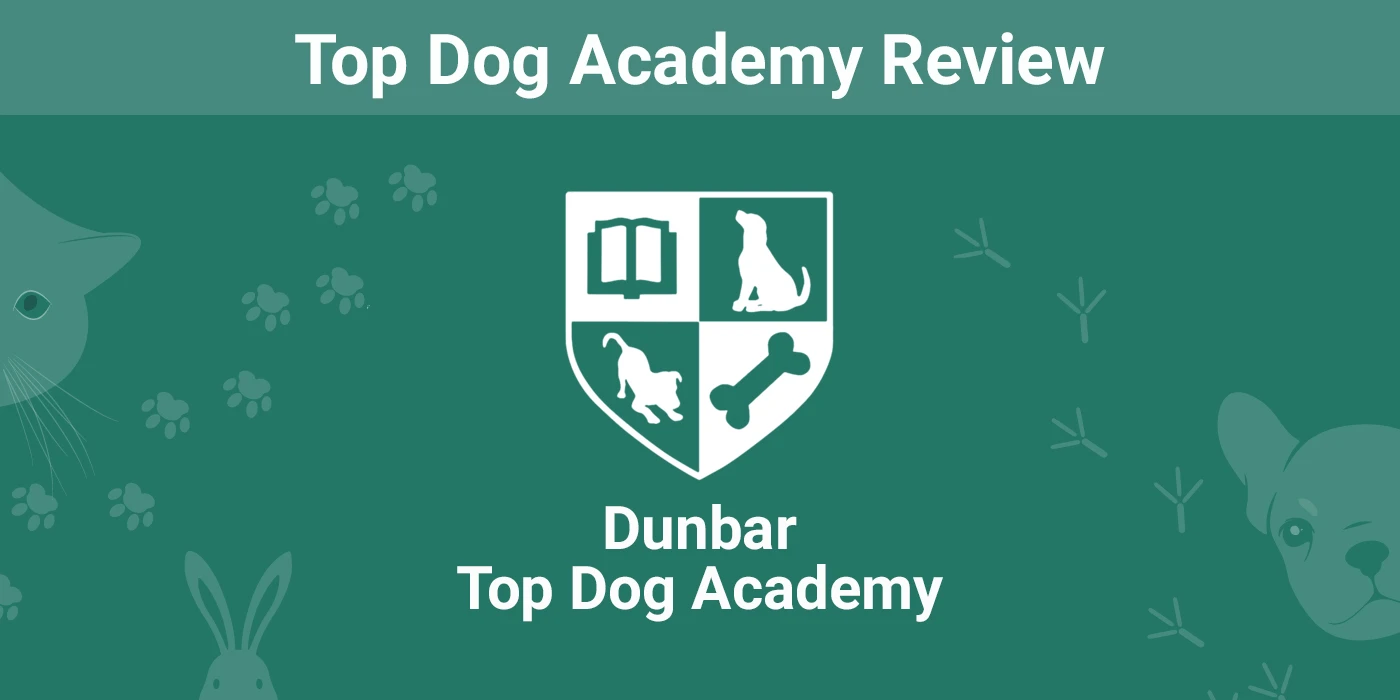 Czego można oczekiwać od Top Dog Academy?