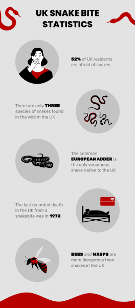 10. 52% Brytyjczyków boi się węży.