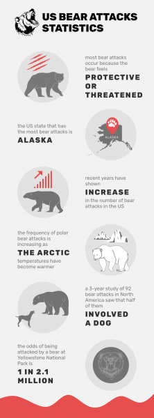 14 statystyk i faktów dotyczących ataków niedźwiedzi w 2024 r.
