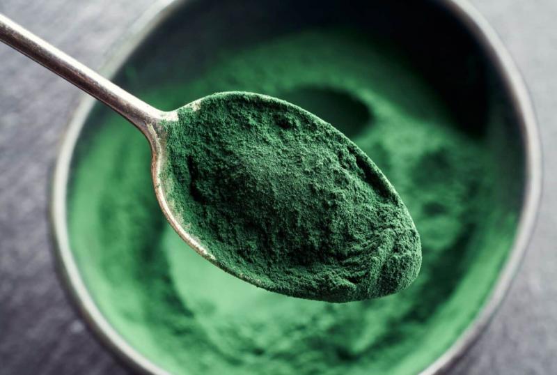 Spirulina dla psów: główne korzyści, zastosowania i porady