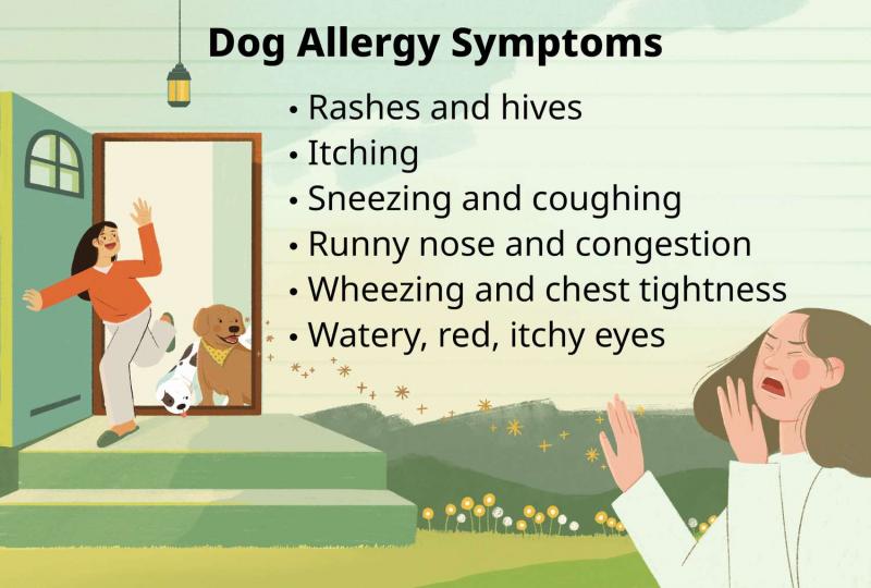 Alergie u psów: przyczyny, objawy i leczenie