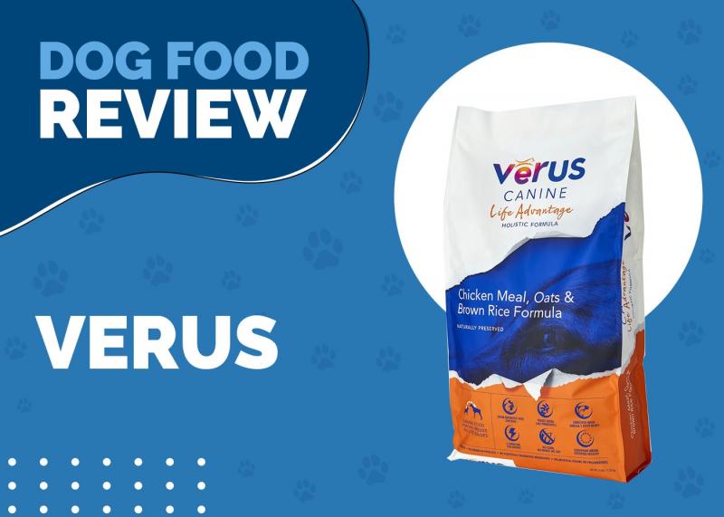 Dla jakiego typu psa najlepiej nadaje się karma VeRUS?
