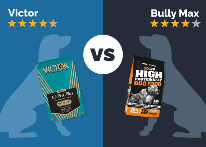 Victor Dog Food vs Bully Max: Nasze porównanie 2024 - zalety, wady i co wybrać
