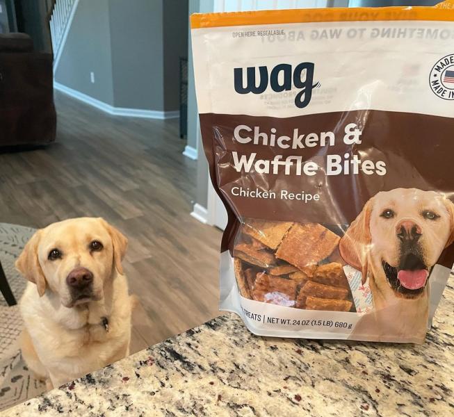 Recenzja karmy dla psów Wag