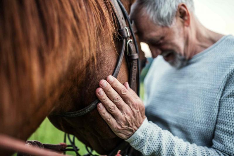 Psychoterapia wspomagana przez konie (EAP)