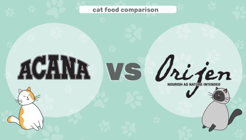 Orijen vs Acana Dog Food: 2024 porównanie, wady i zalety