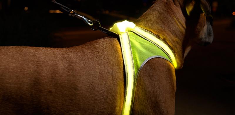 Szelki dla psa Noxgear LightHound LED - szybki przegląd
