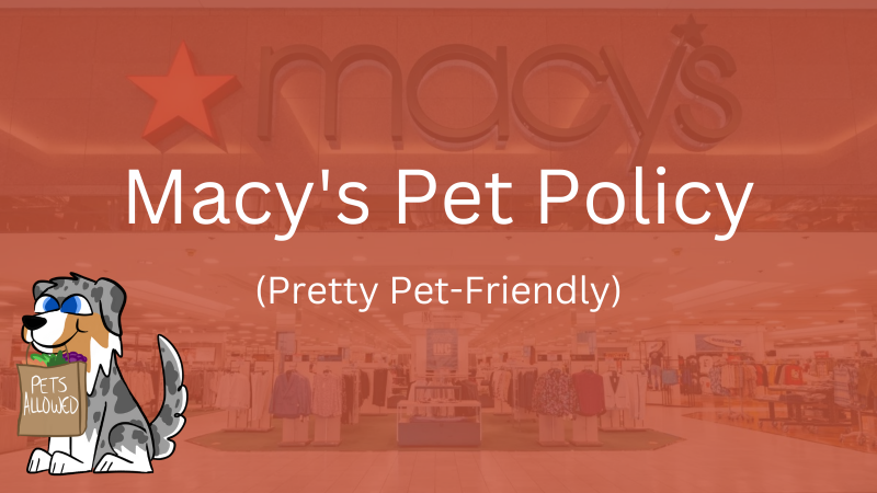 Jak mogę sprawdzić, czy mój sklep Macy's jest przyjazny dla zwierząt?