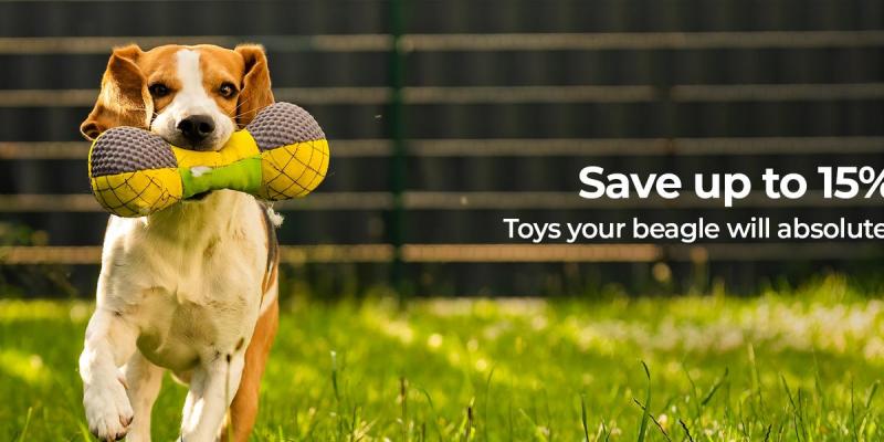 3. Ruff Dog Fetch Stick Toy - wybór premium