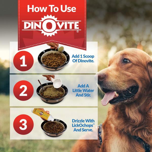 Dinovite to popularna marka, która oferuje szereg produktów żywieniowych dla psów zaprojektowanych w celu promowania zdrowia i dobrego samopoczucia psa. Jednakże, jako odpowiedzialny właściciel zwierzęcia, ważne jest, aby przeprowadzić badania przed wprowadzeniem jakichkolwiek zmian w diecie swojego futrzanego towarzysza.