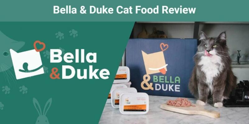 Szybkie spojrzenie na karmę dla kotów Bella & Duke