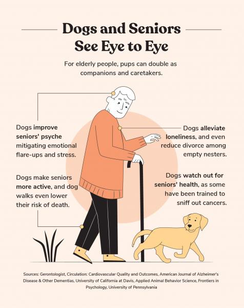 7 korzyści zdrowotnych wynikających z posiadania psa: Fakty zatwierdzone przez weterynarza