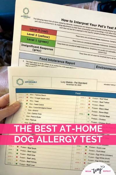 Jakie są różne rodzaje testów alergicznych?