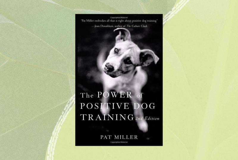 4. Jak pomóc psom strzelbowym szkolić się samodzielnie, wykorzystując wczesne uwarunkowane uczenie się - Najlepsze dla szczeniąt