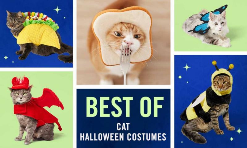 3. Miyakoo Cowboy Cat Halloween Costume - Premium Choice 