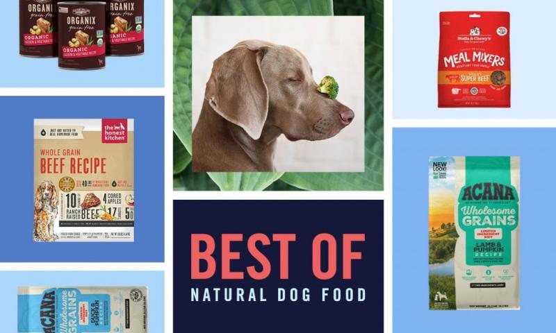 10 najlepszych karm dla psów o lśniącej sierści w 2024 roku - recenzje i najlepsze propozycje