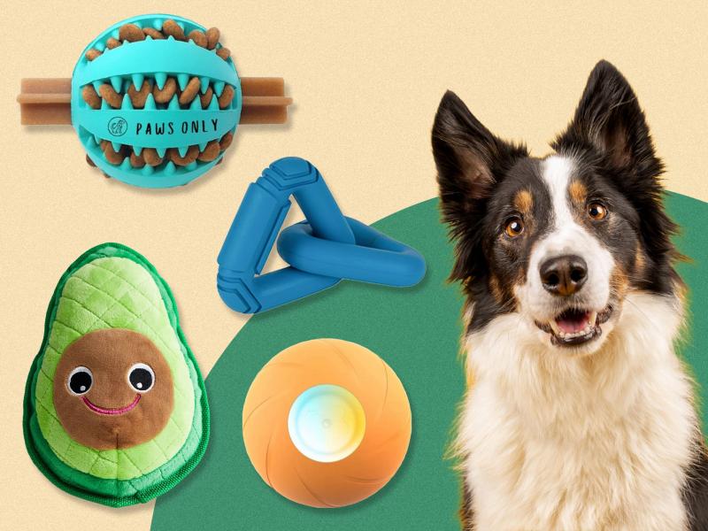 16 najlepszych świątecznych zabawek dla psów