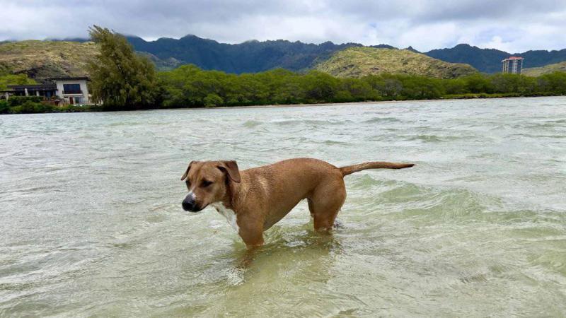 1. Kailua Beach Park