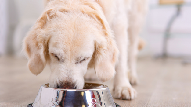 4. Lily's Kitchen Puppy Recipe karma dla psów - najlepsza dla szczeniąt