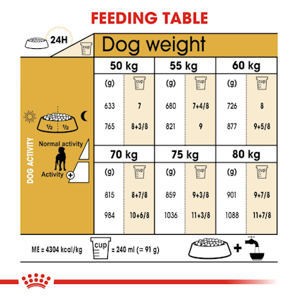 Ile musi jeść dog niemiecki?
