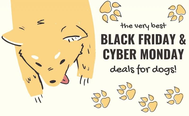 Oferty dla psów na Black Friday i Cyber Monday 2024: Ubrania, klatki i nie tylko!