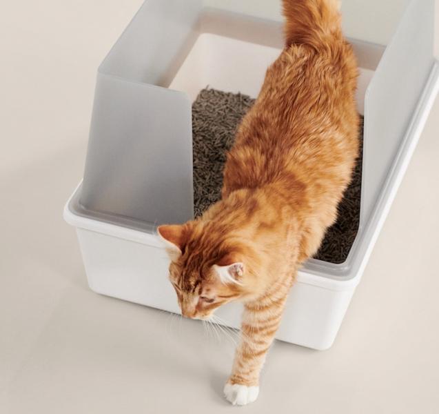 1. Petmate Top Entry Cat Litter Pan - najlepsza ogólnie