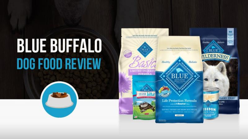 5. Blue Buffalo Wilderness Rocky Mountain Recipe - Najlepsza dla kontroli wagi