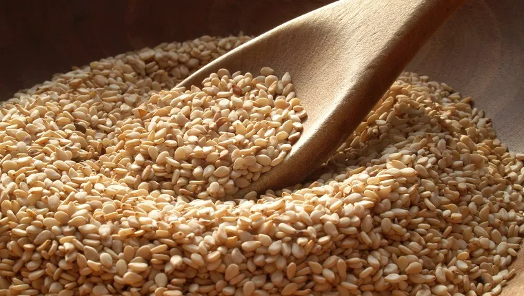 Czym są nasiona sezamu?