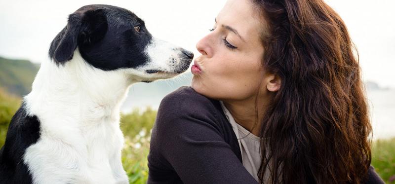 Psy i pocałunki: Jak postrzegają rzeczy