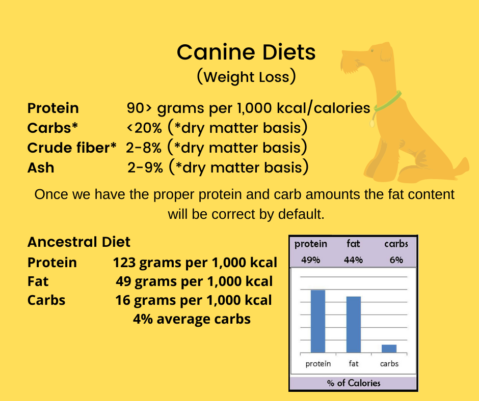 Obliczanie spożycia kalorii dla psa