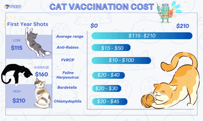 Ile kosztują szczepienia dla kotów domowych?