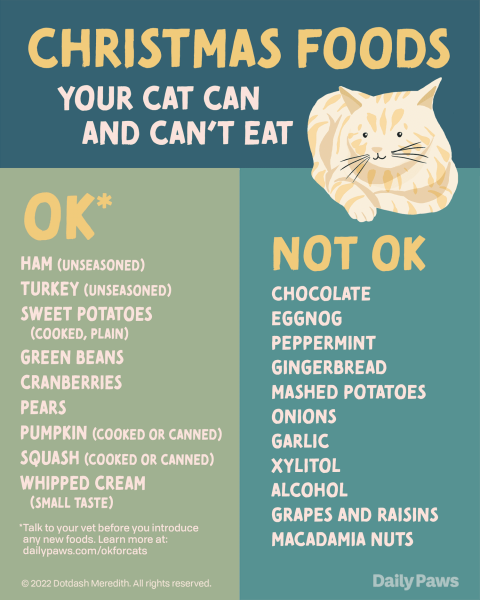 Czy koty mogą jeść słodkie ziemniaki? Fakty, które warto znać!