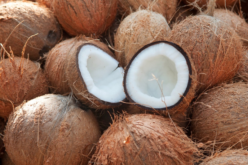 Zdrowe kokosowe alternatywy dla chomików