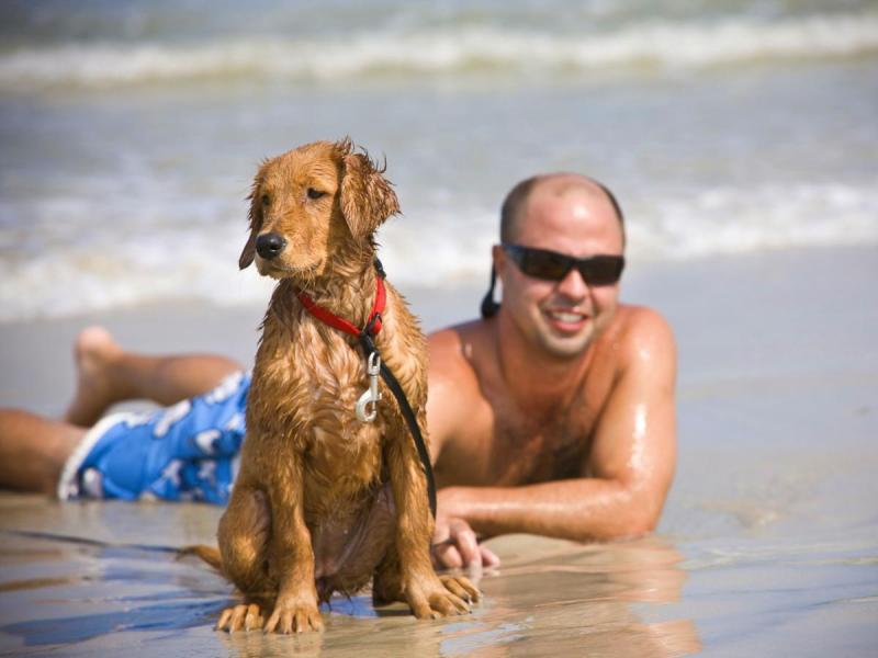 Jeśli Twój pies uwielbia biegać swobodnie i bawić się w piasku, koniecznie odwiedź Freeman Park. Położona na północnym krańcu Carolina Beach, ta plaża bez smyczy pozwala psom wędrować i odkrywać do woli. Dzięki kilometrom otwartej linii brzegowej Twój szczeniak będzie miał mnóstwo miejsca do biegania, pływania i spotkań towarzyskich z innymi psami. Pamiętaj tylko, aby zabrać ze sobą dużo wody i posprzątać po swoim futrzanym przyjacielu!