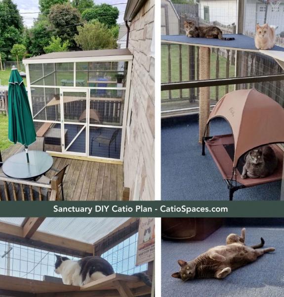 1. Great Outdoors Catio