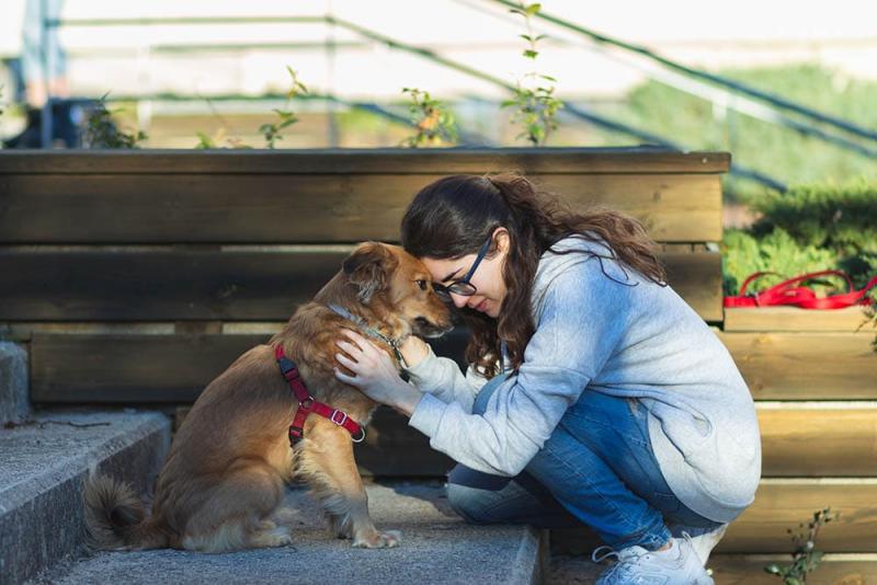 Jak zdobyć zaufanie przestraszonego psa: 8 porad ekspertów