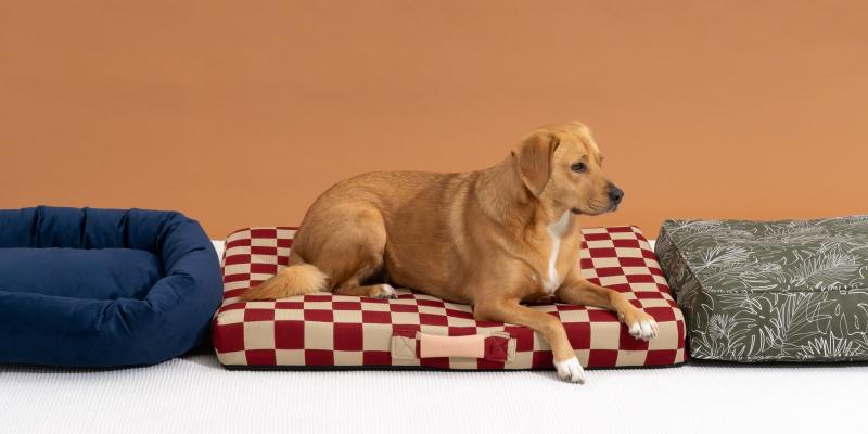 5. Amazon Basics Cooling Elevated Pet Bed