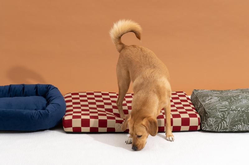 6. Ekologiczna kołdra na łóżko dla psa Molly Mutt