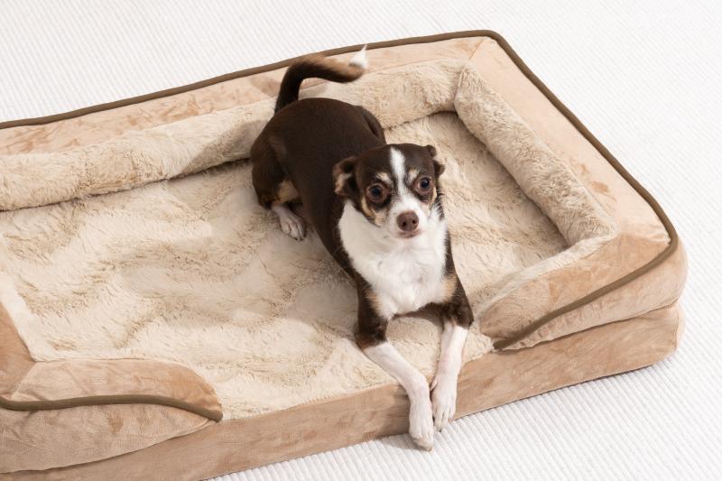 4. Snoozer Pet Products Cozy Cave Covered Cat & Dog Bed ze zdejmowanym pokrowcem - najlepsze dla szczeniąt