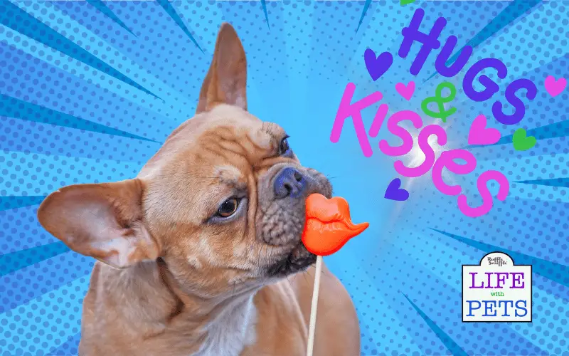 Czy psy rozumieją pocałunki? Co mówi nam nauka