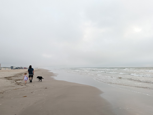 6 najlepszych plaż w Destin przyjaznych psom,