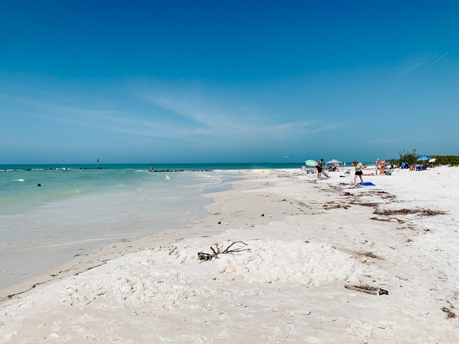 Destin na Florydzie to popularne miejsce na wakacje znane z pięknych plaż i krystalicznie czystej wody. Ale co, jeśli chcesz zabrać ze sobą swojego futrzanego przyjaciela? Na szczęście Destin jest domem dla kilku przyjaznych psom plaż, na których Twój czworonożny towarzysz może dołączyć do słońca, piasku i surfingu.