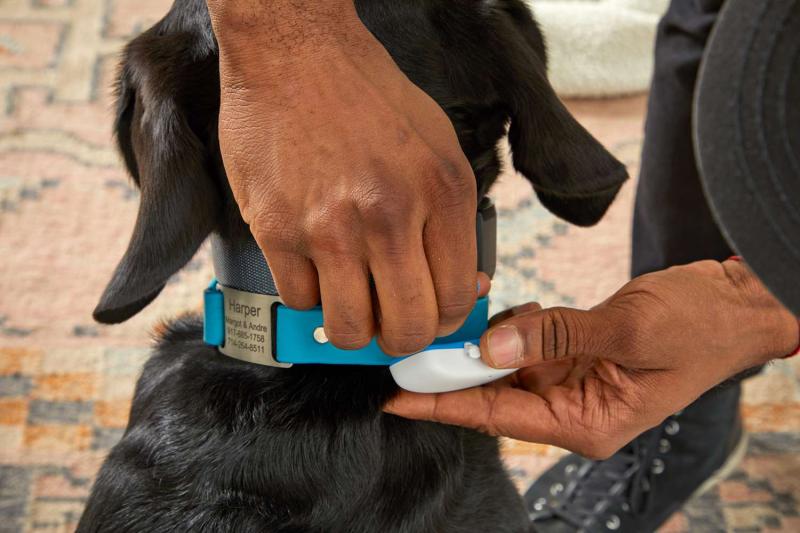 1. Whistle Go Explore Dog GPS Tracker - najlepszy ogólnie